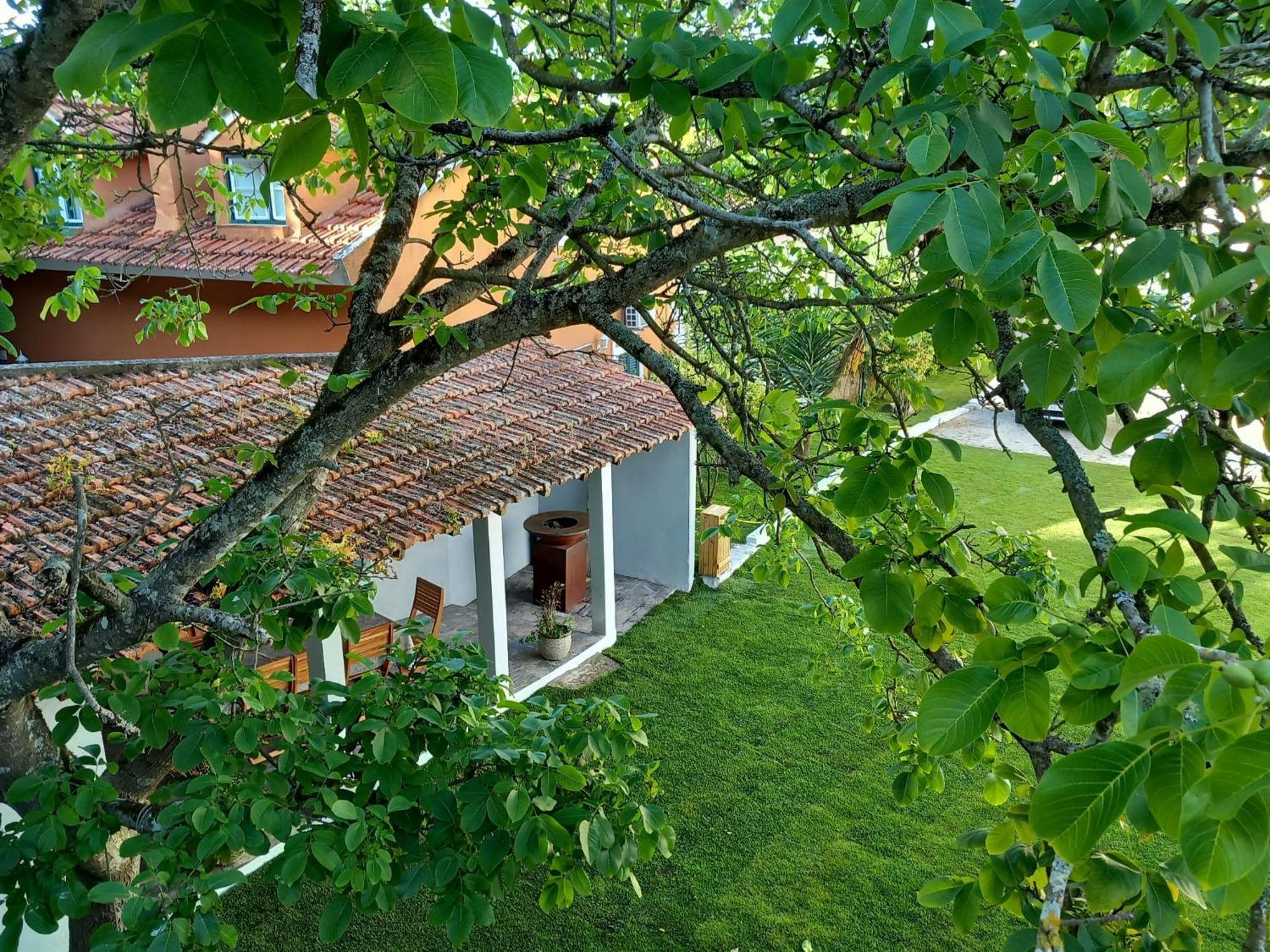 Villa In Sintra - Casa Da Penha Ferrim Exterior photo
