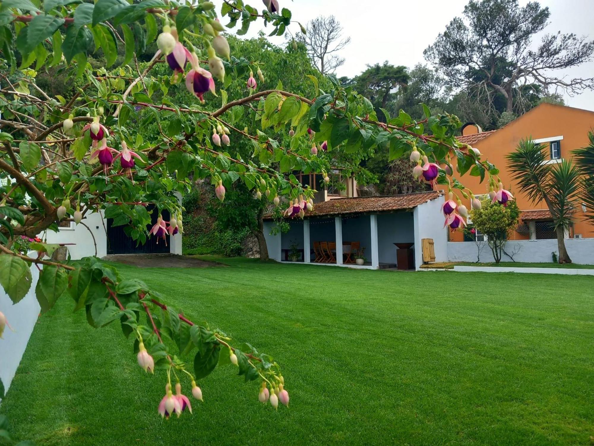 Villa In Sintra - Casa Da Penha Ferrim Exterior photo