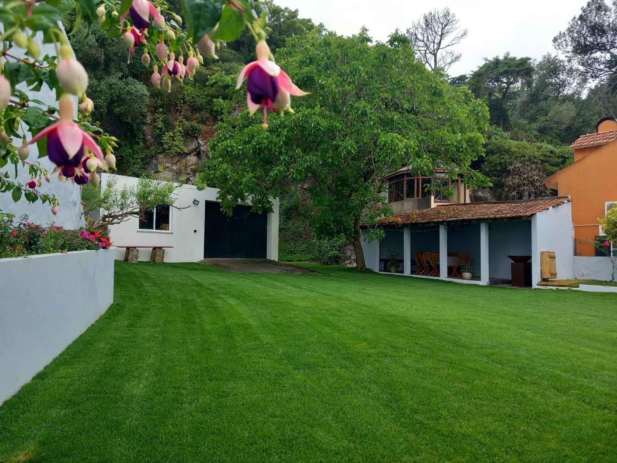 Villa In Sintra - Casa Da Penha Ferrim Exterior photo